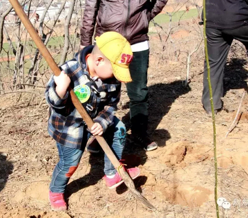 首页|bifa必发集团中国官方网站